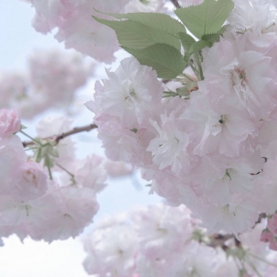 和田FurryQQ群介绍